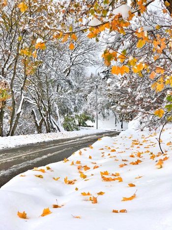 Снег осенью стихи