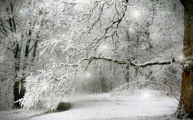 Снег в декабре стихи