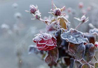 Стих провожаем осень