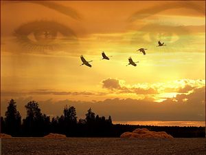 Стих зима весна лето осень