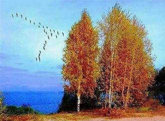 Стихи на осень