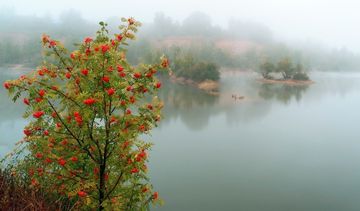 Стихи осень начинается