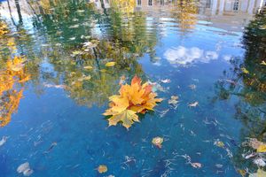 Стихи осенние дни