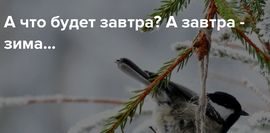 Стихи завтра зима