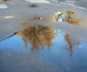 Заморозки стихи