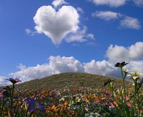 Как сложно любить стих