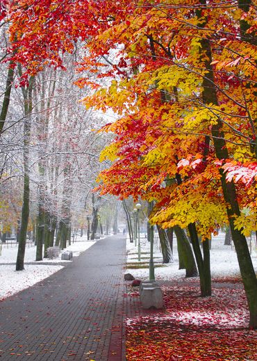 Осенняя зима стихи