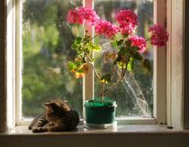 Стих как мало надо