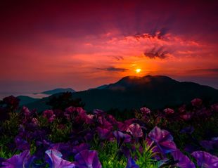 Стих летний закат