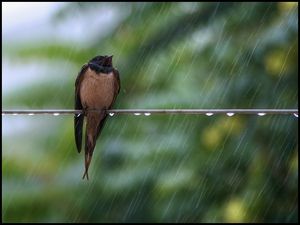 Стих нам не страшен гром