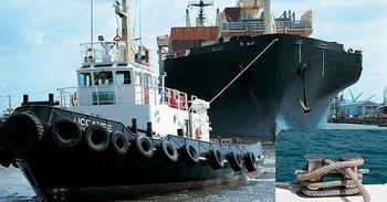 Стихи гавань