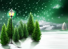 Стихи о предновогоднем лесе