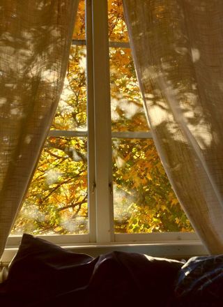 Стихи осенний рассвет