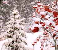 Уходящий год стих