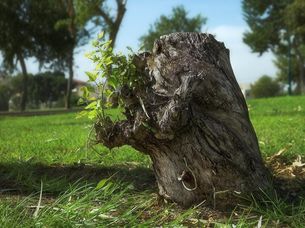 Вірш чекання коханого