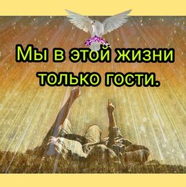 Все мы гости на этой земле стихи