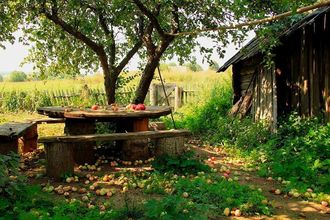 Дом детства стих