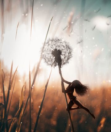 Песня на стихи воздушные цветы