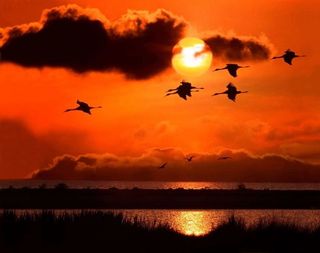 Про Чернобыль стих