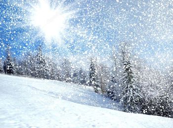 Стих снег и солнце Стих снег и солнце