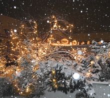 Вірш різдвяна ніч