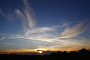 Журавли стихи песня