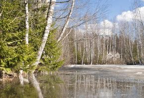 Февраль конец зимы стихи