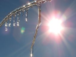 Про капель стихи