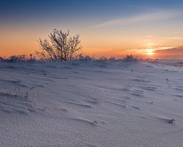 Разгулялась зима стихи