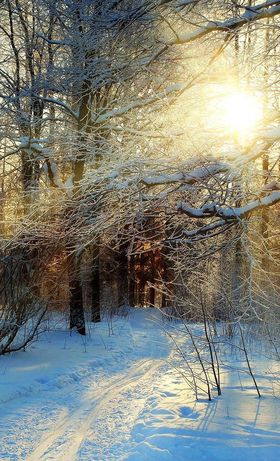 Стих морозец