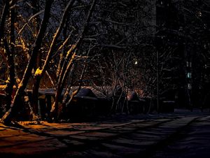 Стихи ночь на дворе