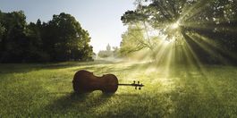 Стихи ночная песня