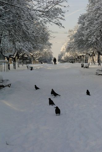 Стихи письмо о России