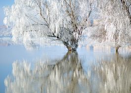 Вірш ранок у лютні