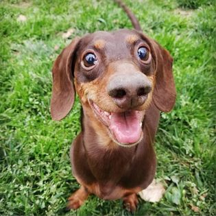 Взрослые как дети стихи Взрослые как дети стихи