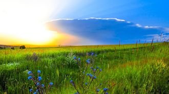 Цвета неба стихи