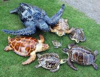 Стих про черепашек для детей