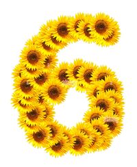 Стихи о цифре 6