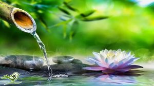 Музыка земли стихи