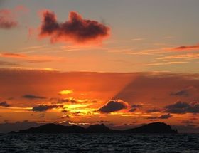 Не доверяю стих