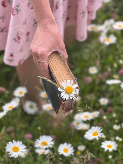 Ромашке стих