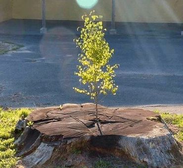 Стих вера надежда