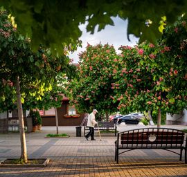 Стих жара в городе