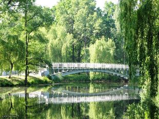 Стихи о Дубовке