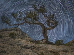 Стихи о зле и зависти