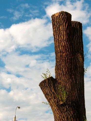 Стихи с надеждой