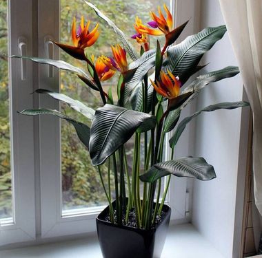 Стрелиция стихи Стрелиция стихи