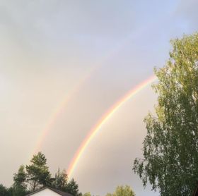 Дождь с утра стихи