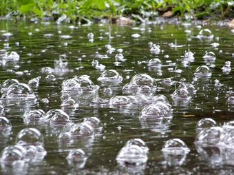 Дождь ты мне нужен стихи