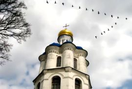 Душа птица стихи